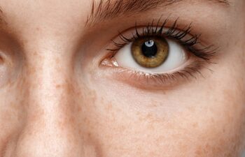 Eyes woman eyebrow eyes lashes nose freckles